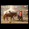 img 0133.JPG
